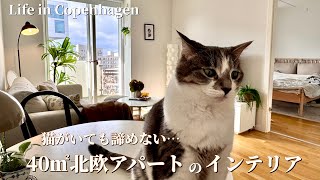 狭い、猫2匹…でも海外インテリアが大好き🐈1LDK北欧暮らしのルームツアー|お気に入りと北欧インテリア|Life in Copenhagen