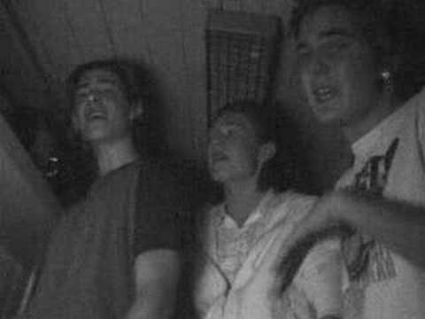 Vegard, Daniel og Mikael (H)