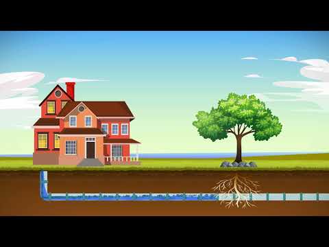 Zep Root Kill | Septic-Safe Root Dissolver for Pipes (30s)