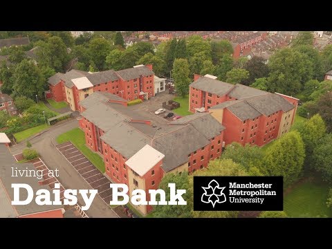 download lagu mp3 mp4 Daisy Bank, download lagu Daisy Bank gratis, unduh video klip Daisy Bank