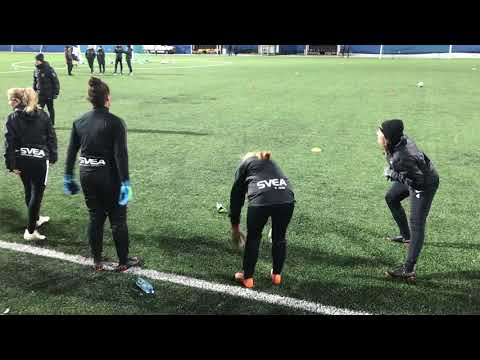 En svensk försäsong. Explainer August