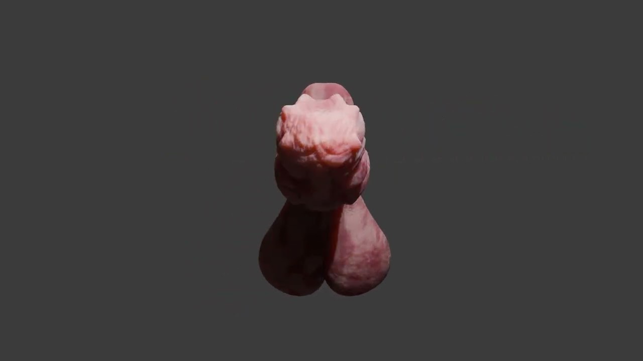 Kuragoth Demon Penis Sextoy Rigged 3D Model