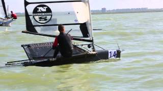 Custom made moth by Alex Koukourakis