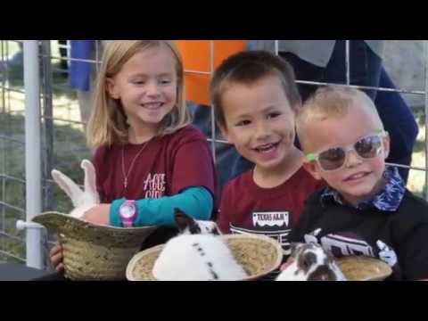 Watch lagu Images Videos Celebrity Cafe And Bakery Frisco, Watch Images Celebrity Cafe And Bakery Frisco free Watch, Watch Images Celebrity Cafe And Bakery Frisco