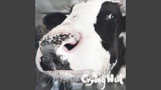 Music video thumbnail preview for My World by Crying Nut