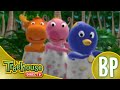 The Backyardigans Canções De Náufrago