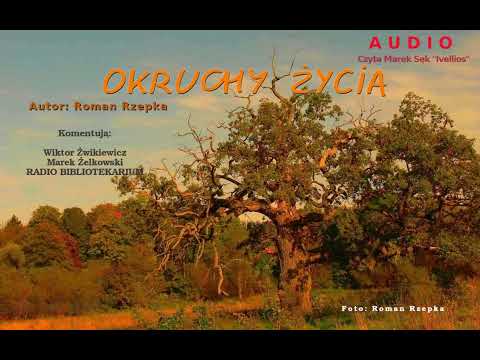 Z cyklu okruchy życia  - zakręcona. Youtube