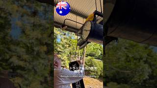 メルボルン 絶対やるべき アクティビティ TOP3