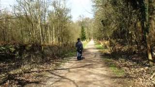 Forest of Dean.wmv