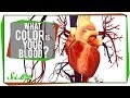 What Color is Your Blood? 