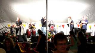 Brave Combo, Louie Louie