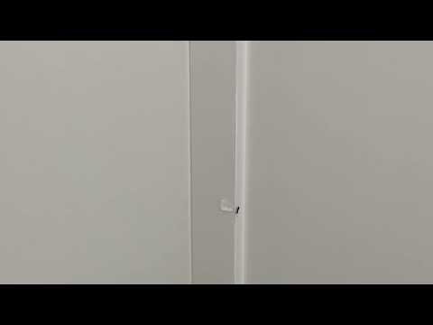 Handling the Ants in the Kitchen in West Windsor, NJ