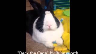 Deck The Cage (Deck the Halls) by Bunnsworth