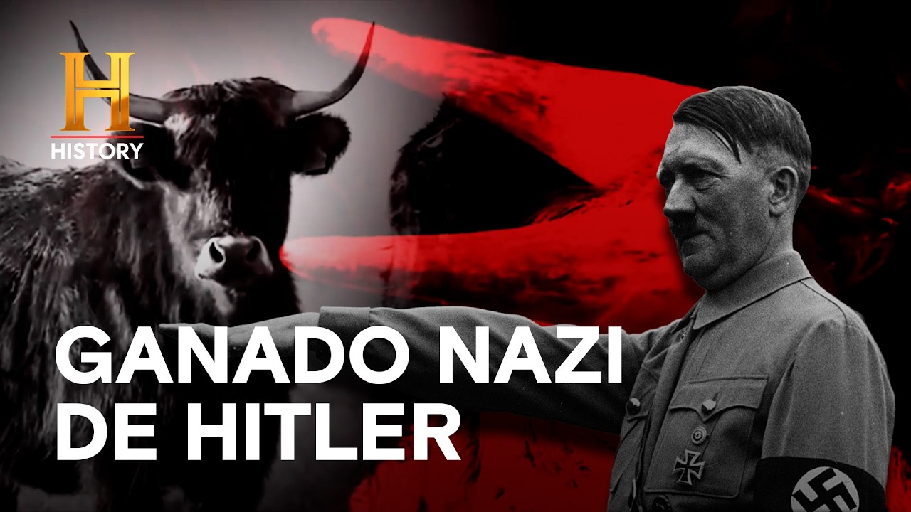 GANADO NAZI DE HITLER 🐂 - EXPERIMENTOS MONSTRUOSOS