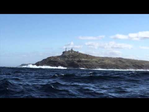 Boat Ride Newfoundland