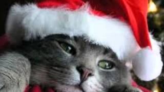 Quiero tener tu presencia - Seguridad Social (Vers