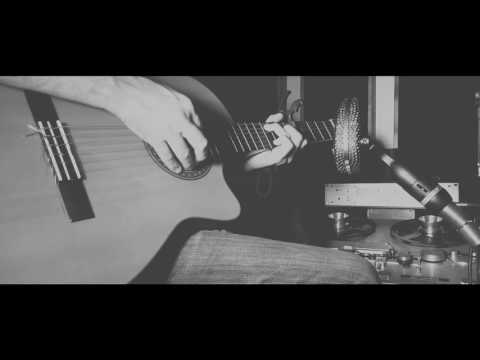 Cicadas And Gulls (cover) - Feist