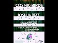 Festival Indie Cosmic Birds | Conciertos El BarCo ...