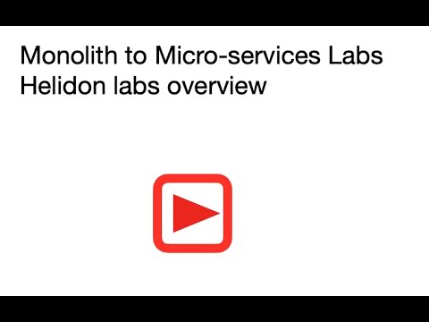 Helidon labs Introduction Video