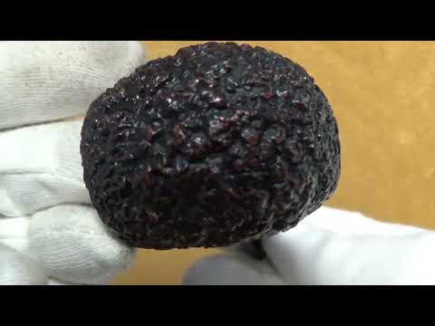 Pipa Castello Sea Rock KKKK - Chubby Bent Apple #11 - CASR149