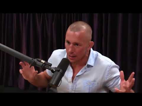 Joe Rogan - GSP Praises Demetrious "Mighty Mouse" Johnson