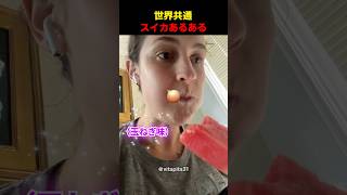 世界共通スイカあるある