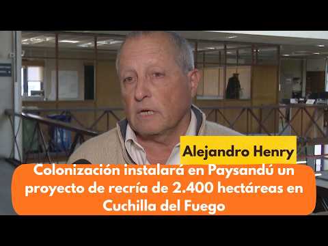 Colonización instalará en Paysandú un proyecto de recría de 2.400 hectáreas en Cuchilla del Fuego