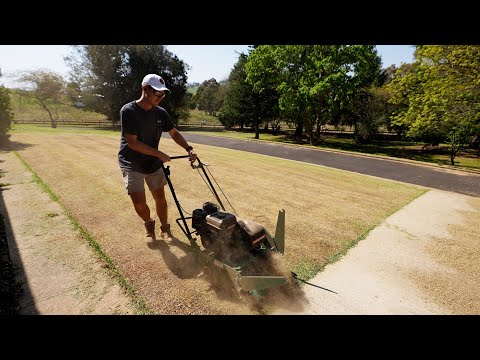 Full Lawn Renovation From START To FINISH // Scalp, Dethach, Aeration and Topdress
