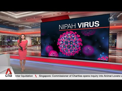 Singapore's Changi Airport to screen travellers from affected areas amid Nipah outbreak in India