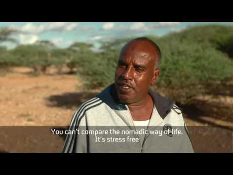 Migrating, from all over the World, back to Somaliland for a better life