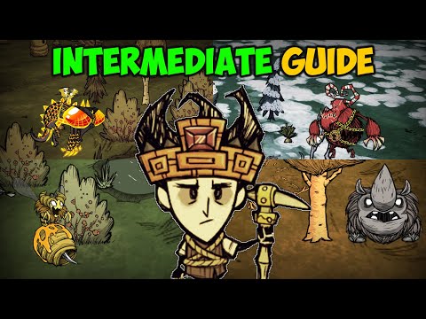 Ultimate Intermediate Survival Guide (ALL Seasons) Don't Starve Together