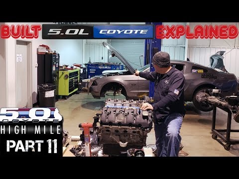2011 Mustang High Mile Coyote (NEW BUILT ENGINE) 5.0 Upgrade Explained