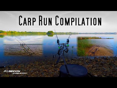 Carp Run Compilation  #poseidonangelsport