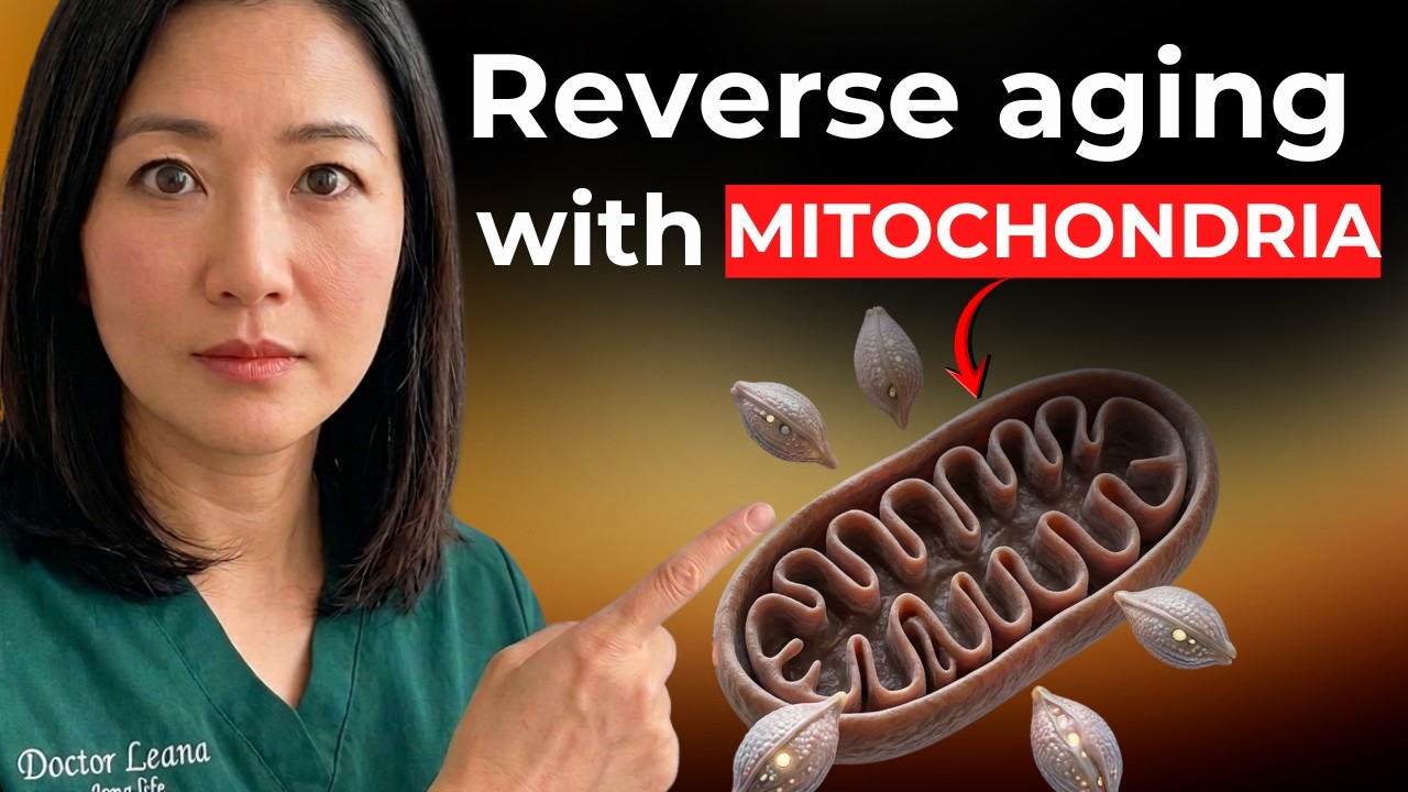 6 Foods to Make New Mitochondria, Slow & REVERSE AGING in Days! (Scientific Proof) | Doctor Leana
