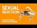 Darwin Day Special What Is Sexual Selection