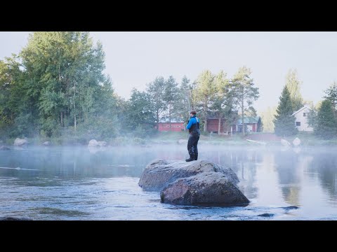 Kuulumisia Kymijoelta #17 - "Loppusuora häämöttää" | Syyskalastusta Kymijoella