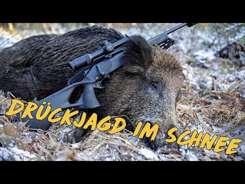 Drückjagd im Schnee