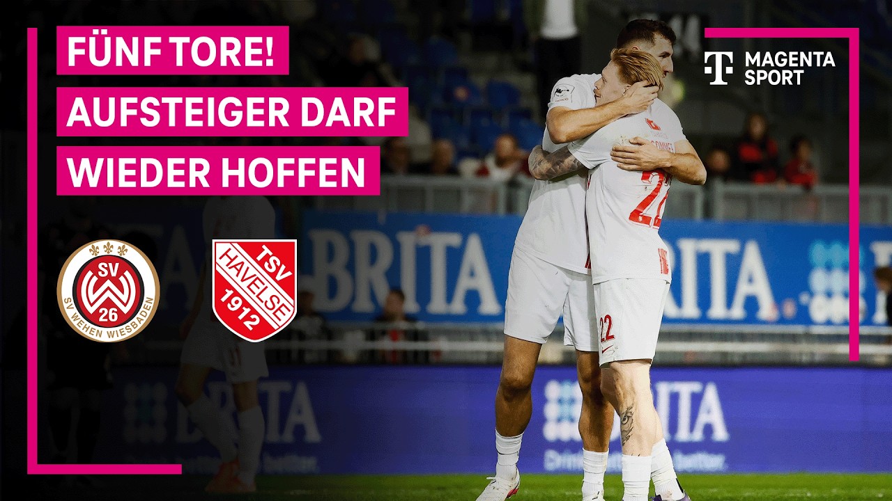 SV Wehen Wiesbaden vs TSV Havelse Highlights