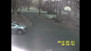 Ghost, animal, moth? What is it? You decide