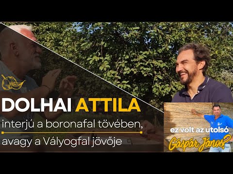 Dolhai Attila színházigazgató, a Présház és a Vályogfal táborok jövője (2025.)