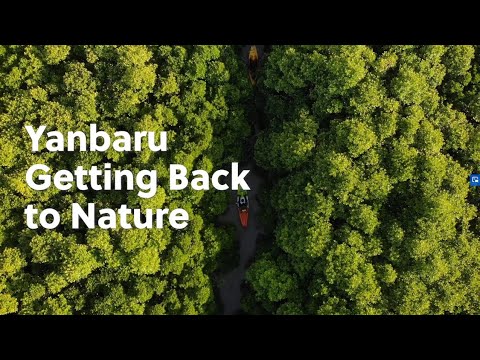 Yanbaru Getting Back to Nature