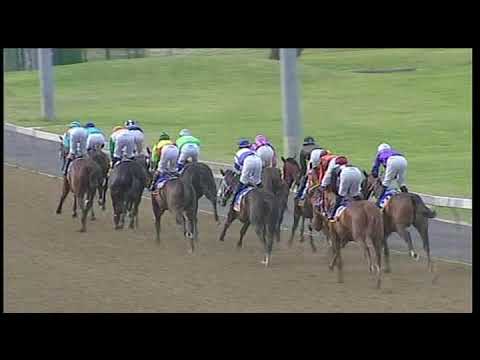 20181114 Greyville express clip Race 7 won by EXPRESSO MARTINI