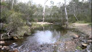 Sing we the King-Piano-Clyde McLennan