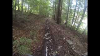 preview picture of video 'downhill bike park lavarone'