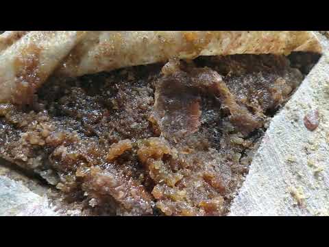 Boswellia Serrata Salai Guggul Gum, Packaging Type: Hdpe Bag, Packaging Size: 25 Kg