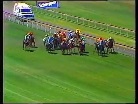 1985 Oakleigh Plate/St.George Stks/Schweppes Cup