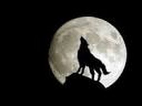 Mini Series Backward MTA