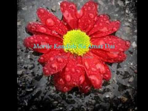 Morile Kandish Na Amar Dai  - Meher Afroz Shaon