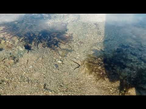 Golden Sands beach resort @Patar bolinao