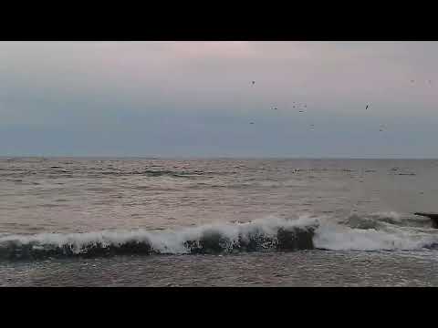 Обзор TECNO SPARK Go 1: бюджетный смартфон с парой сюрпризов / Смартфоны